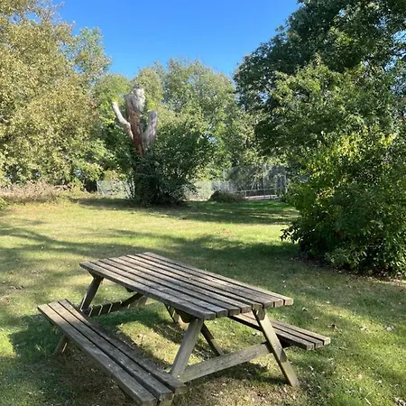 Enjoy Spring At Chateau De Monbrison, For Four Guests