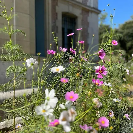 Enjoy Spring At Chateau De Monbrison, For Four Guests Saint-Michel (Tarn-et-Garonne)