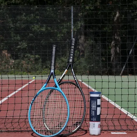 Alojamento de Turismo Selvagem Enjoy Spring At Chateau De Monbrison, For Four Guests *