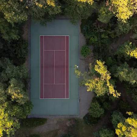 Alojamento de Turismo Selvagem Enjoy Spring At Chateau De Monbrison, For Four Guests